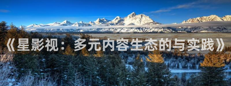 飞马影院免费下载：《星影视：多元内容生态的与实践》