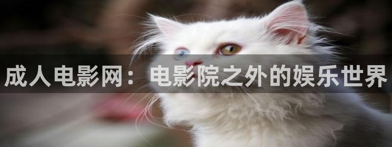 飞马影院：成人电影网：电影院之外的娱乐世界