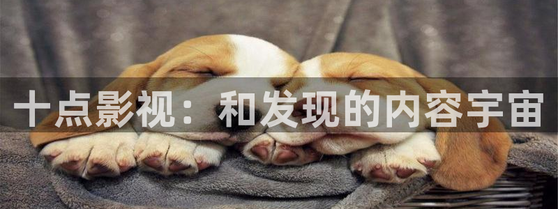 飞马影院免费下载：十点影视：和发现的内容宇宙