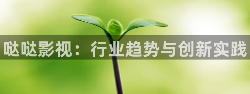 飞马影院免费下载：哒哒影视：行业趋势与创新实践