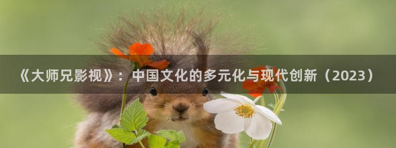 飞马影院在线观看：《大师兄影视》：中国文化的多元化与现代创新（2023）