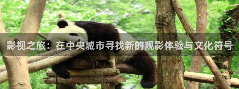 飞马影院下载：影视之旅：在中央城市寻找新的观影体验与文化符号