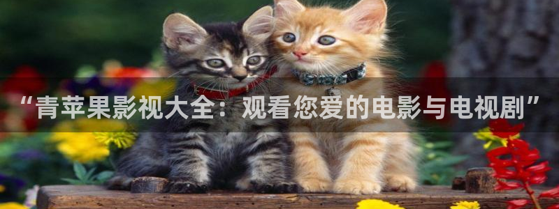 飞马良子影视有限公司：“青苹果影视大全：观看您爱的电影与电视剧”