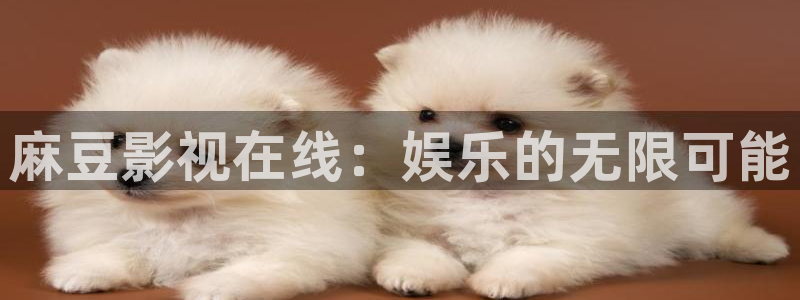 飞马影院免费下载：麻豆影视在线：娱乐的无限可能