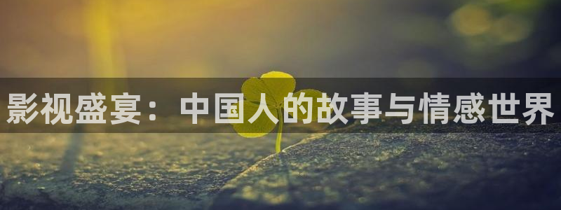飞马影院免费下载：影视盛宴：中国人的故事与情感世界