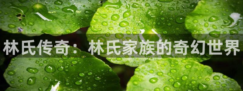 飞马影视：林氏传奇：林氏家族的奇幻世界
