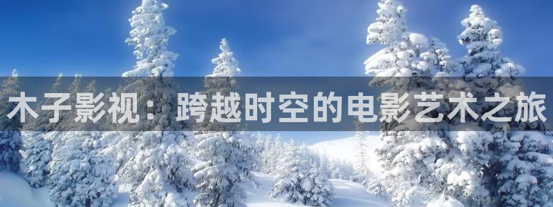 飞马影视电影：木子影视：跨越时空的电影艺术之旅